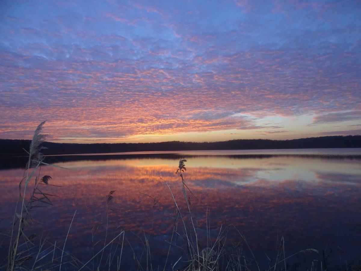 Gite De L'Etang Belval-en-Argonne Eksteriør billede