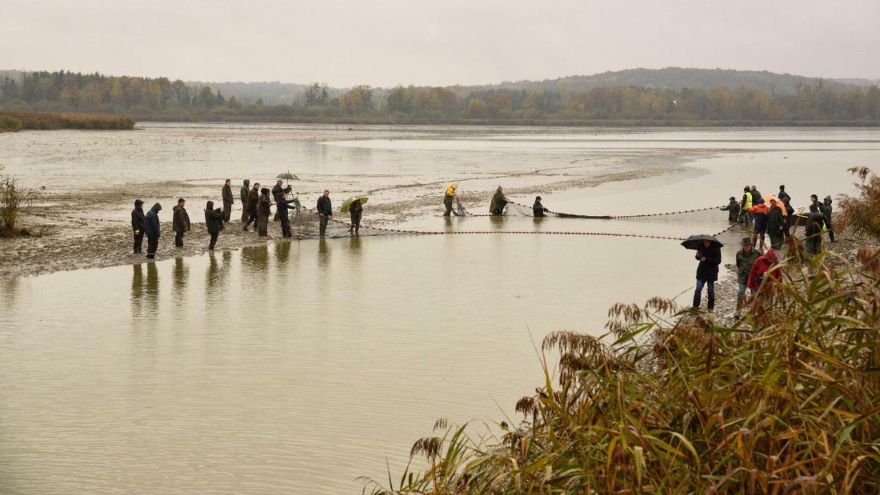 Gite De L'Etang Belval-en-Argonne Eksteriør billede